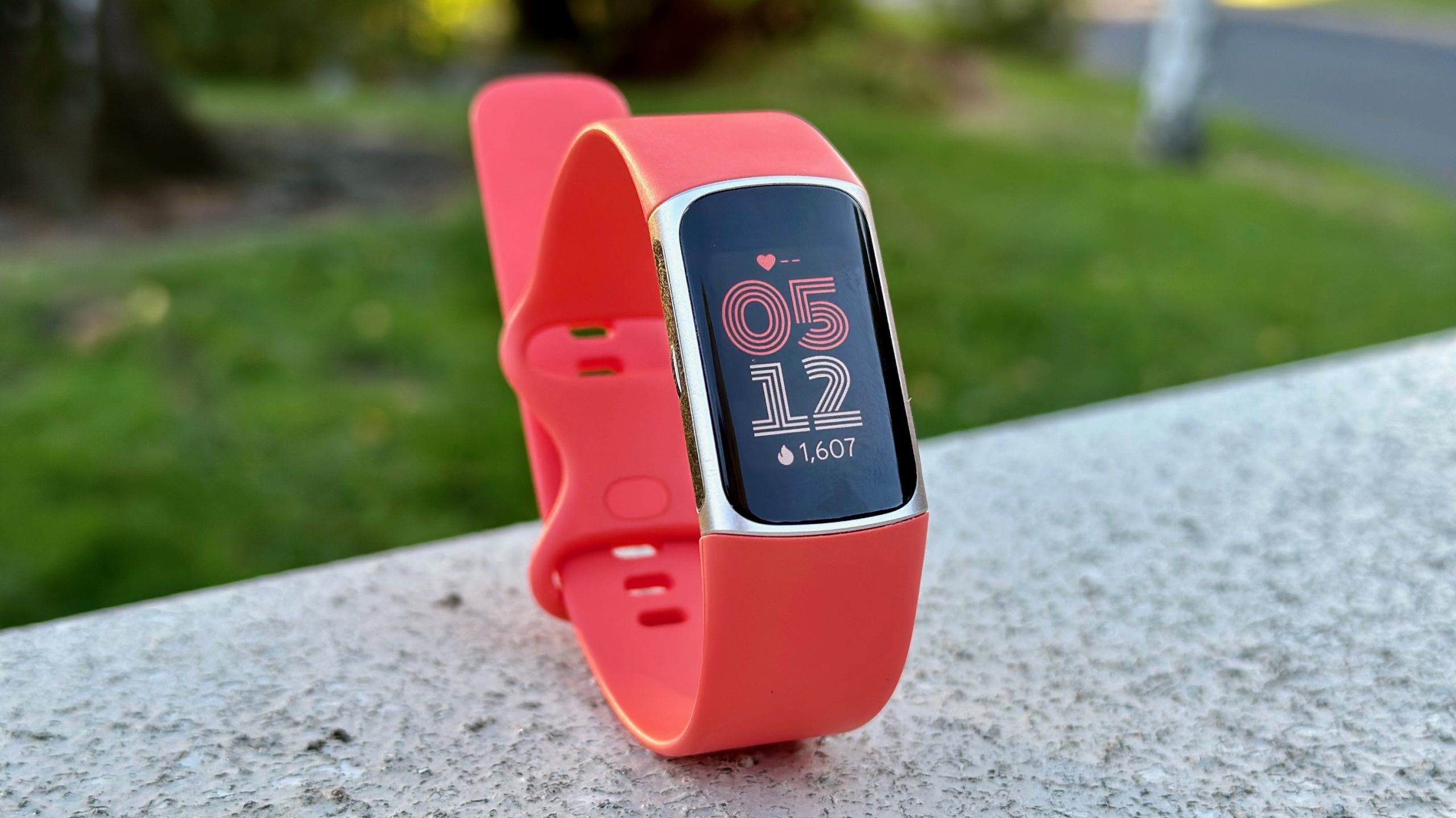 Close-up of the Fitbit Charge 6